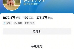 胖东来创始人抖音账号设为私密，起诉网红柴怼怼索赔500万