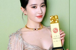 刘亦菲获2025年度女主角奖 凭《玫瑰的故事》再创辉煌