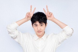 刘昊然为何不温不火？演技与作品背后的原因分析
