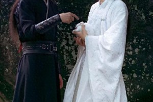 肖战王一博《陈情令》爆红：顶流明星的崛起与挑战